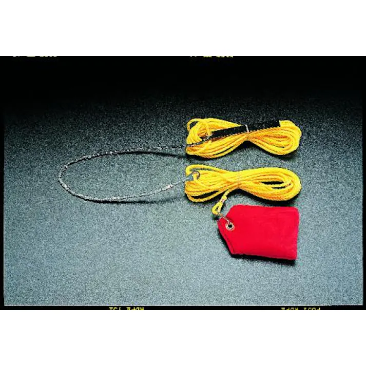 ESCO 1200mm 高枝用チェーンソー EA898C-120 4518340567085(CDC)【別送品】