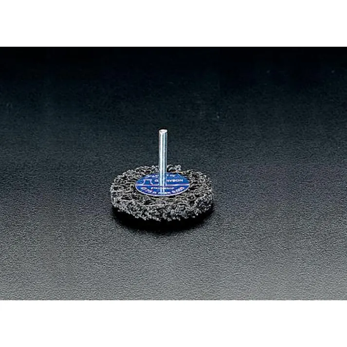 ESCO 100x12mm フレキシストリップホイール EA819FA-100 4518340581999(CDC)【別送品】