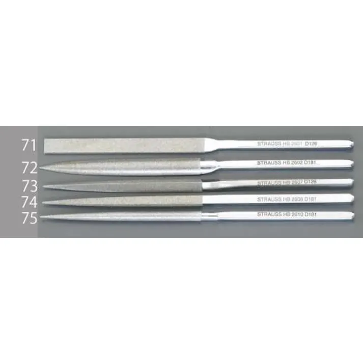 ESCO 220mm/#100 ダイヤモンド ハビリスやすり(四角) EA826VK-74 4518340674417(CDC)【別送品】