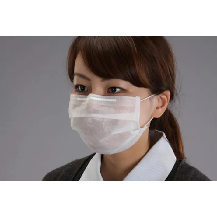 ESCO マスク(使い捨て/100枚) EA800MF-41 4548745559286(CDC)【別送品】