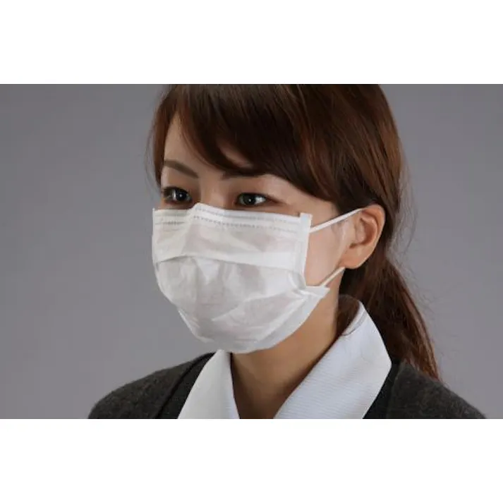 ESCO マスク(簡易粉塵/100枚) EA800MF-43 4548745559316(CDC)【別送品】