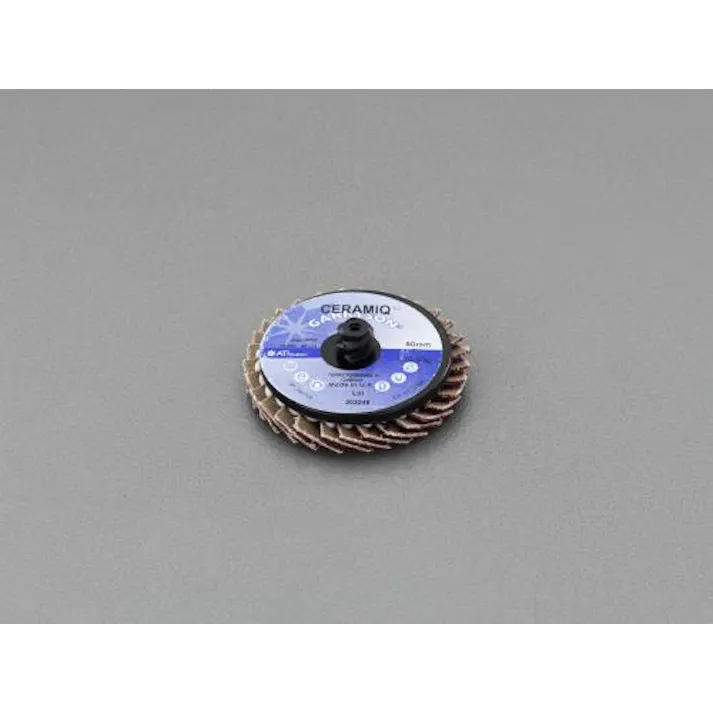 ESCO # 80/50mm セラミックディスク EA819KV-104 4548745977882(CDC)【別送品】