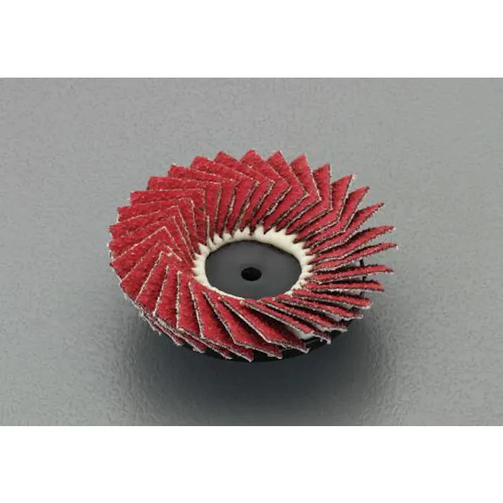 ESCO # 40/50mm セラミックディスク(フレックス) EA819KV-201 4548745978568(CDC)【別送品】