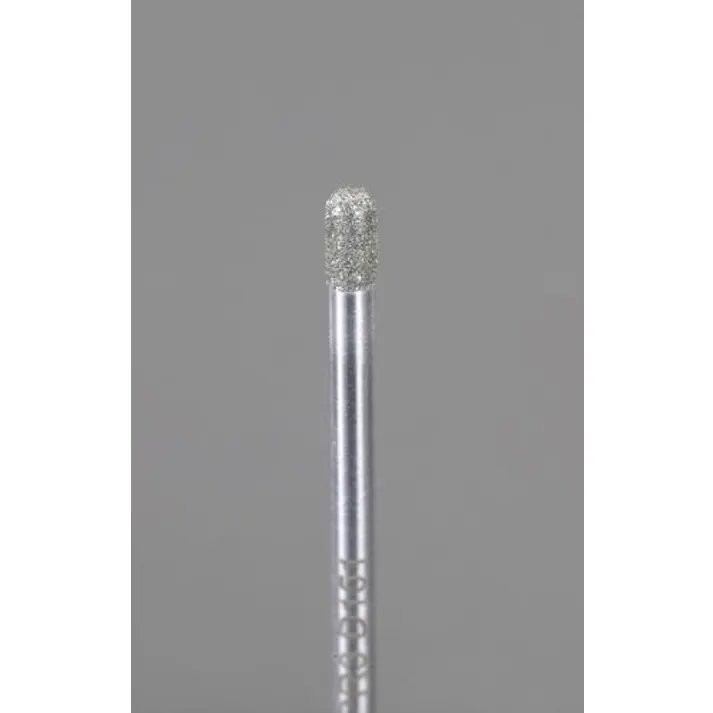 ESCO 3.0x 5.0x 60mm ダイヤモンドバー(2.5mm軸) EA819DY-2 4550061205686(CDC)【別送品】