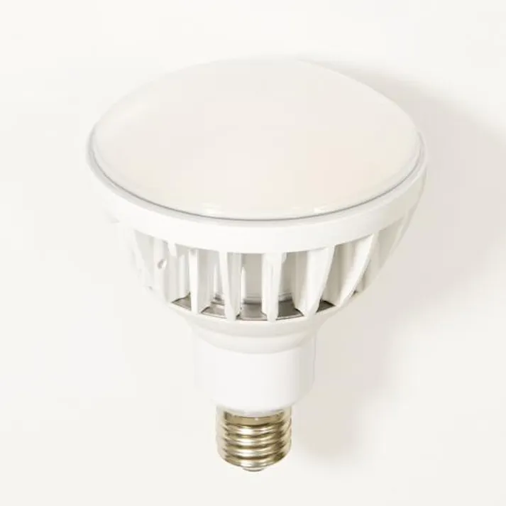 日動工業 電球(白) AC100V/50W EA814DL-55 4550061892497【別送品】