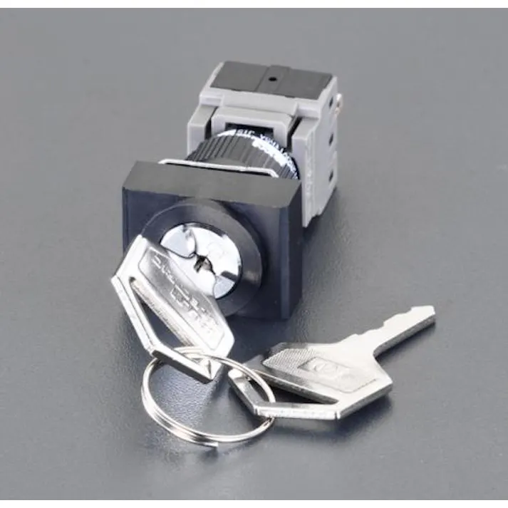 富士電機機器制御 16mm キー操作型スイッチ EA940D-65 4518340448100(CDC)【別送品】