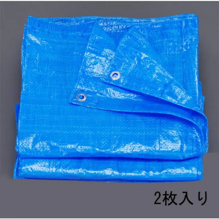 ESCO 10x 10m/0.06mm ブルーシート(2枚) EA911AB-4 4518340459625(CDC)【別送品】