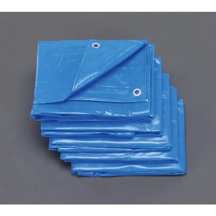 ESCO 2.7x3.6m/0.25mm ブルーシート(#3000/5枚) EA911AB-22 4518340686984(CDC)【別送品】
