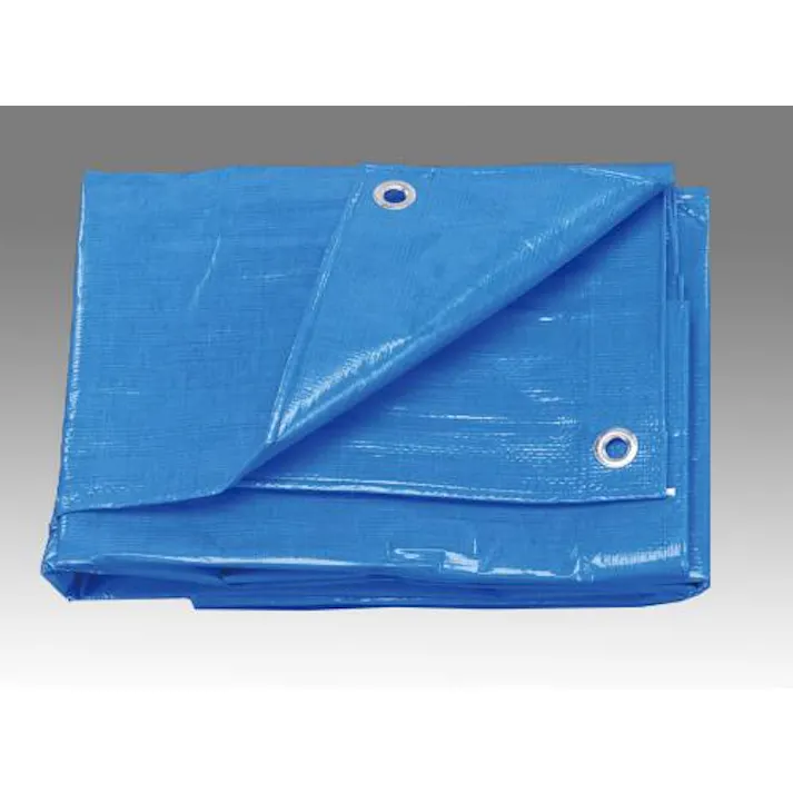 ESCO 3.6x5.4m/0.25mm ブルーシート(#3000/3枚) EA911AB-24 4518340687066(CDC)【別送品】