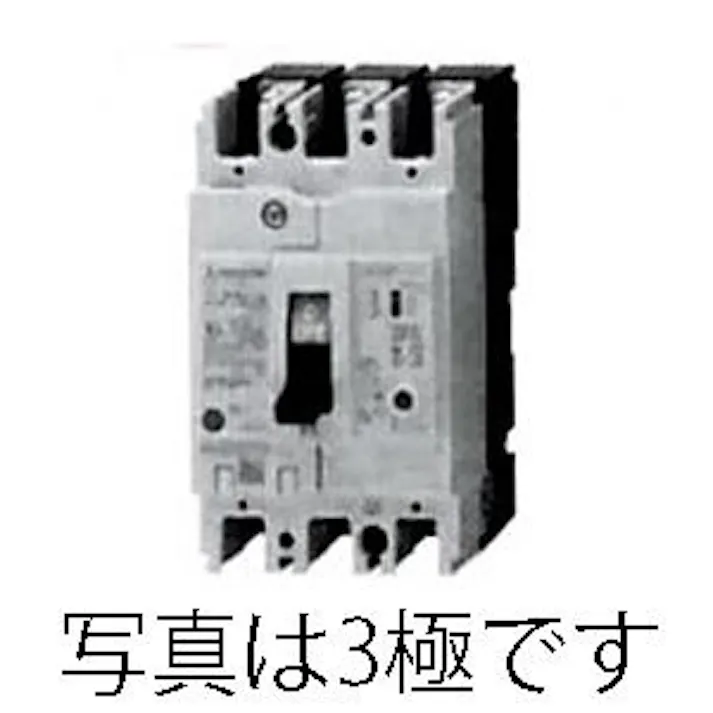 三菱電機 漏電遮断器(フレーム60) AC100-240V/60A/2極 EA940MN-16 4548745599022【別送品】