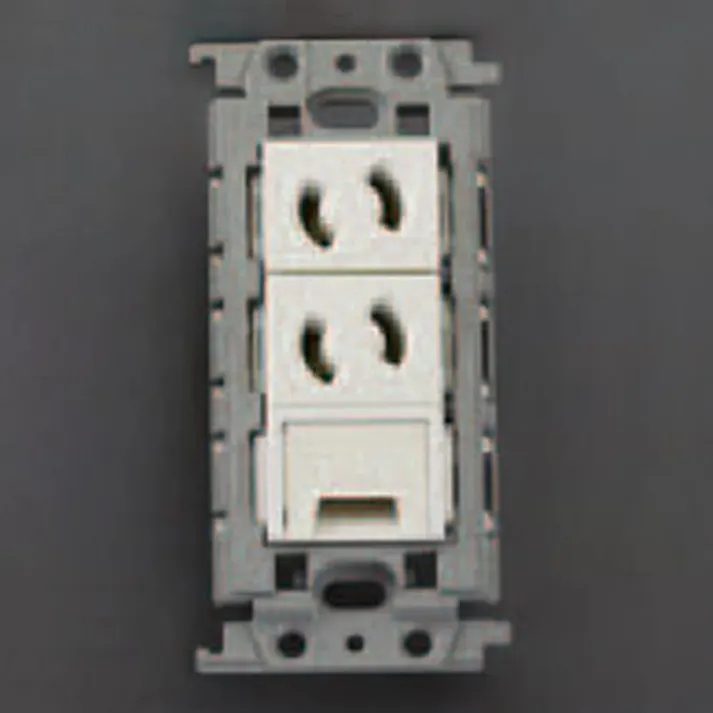 パナソニック(Panasonic) 125V/15A 埋込コンセント(2口/抜止/アースターミナル付) EA940CD-439 4548745863864(CDC)【別送品】