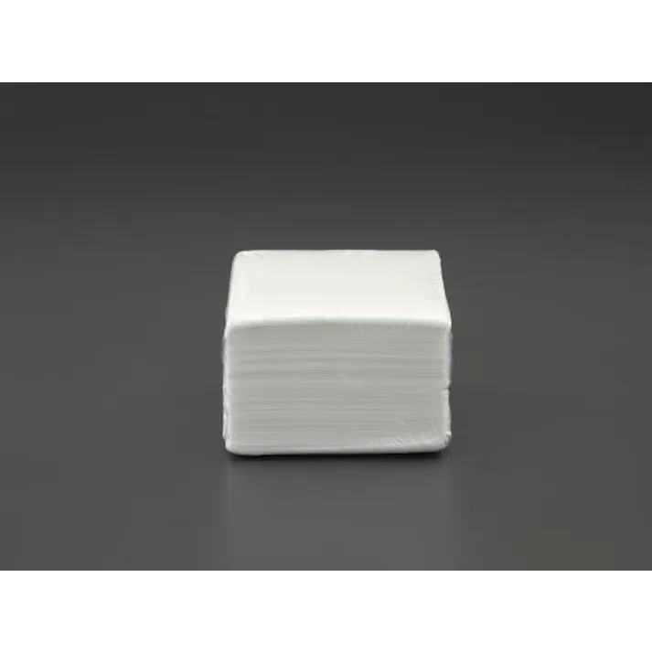 ESCO 300x300mm 不織布タオル(60枚) EA929DB-5B 4550061132760(CDC)【別送品】