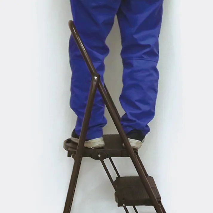 踏台(スチール製/ワイド天板) 0.46m/2段 EA903RD-2A 4550061247327【別送品】