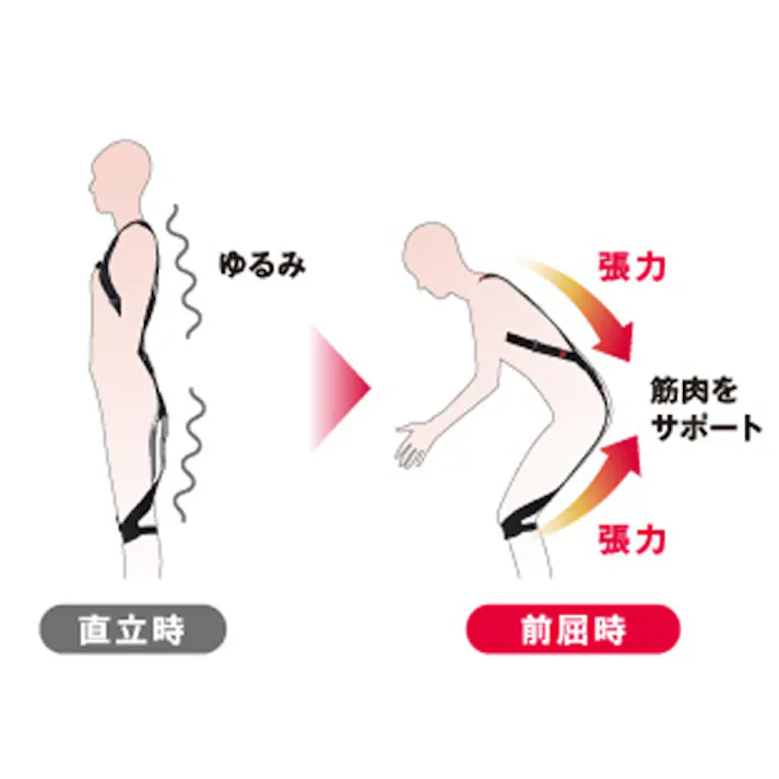 腰部サポートウェア(ラクニエ) 166-175cm EA926AG-2A 4550061299081【別送品】