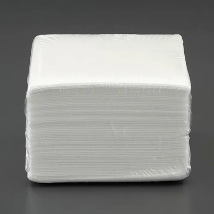 ESCO 300x300mm ペーパータオル(24パック) EA929DB-5C 4550061627303(CDC)【別送品】