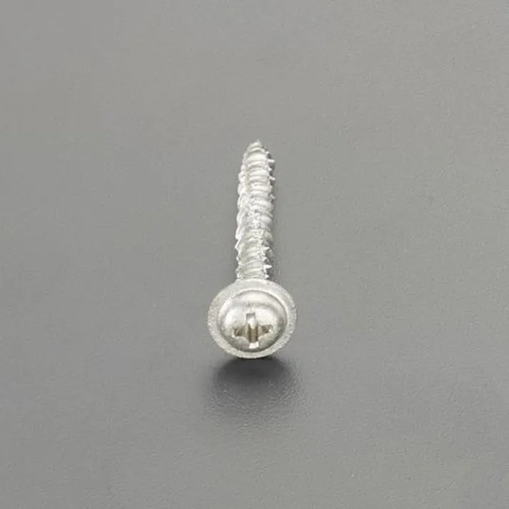 ESCO 4.0x25mm コンクリートビス(ナベワッシャー/鉄/150本) EA945SK-41 4550061878538(CDC)【別送品】
