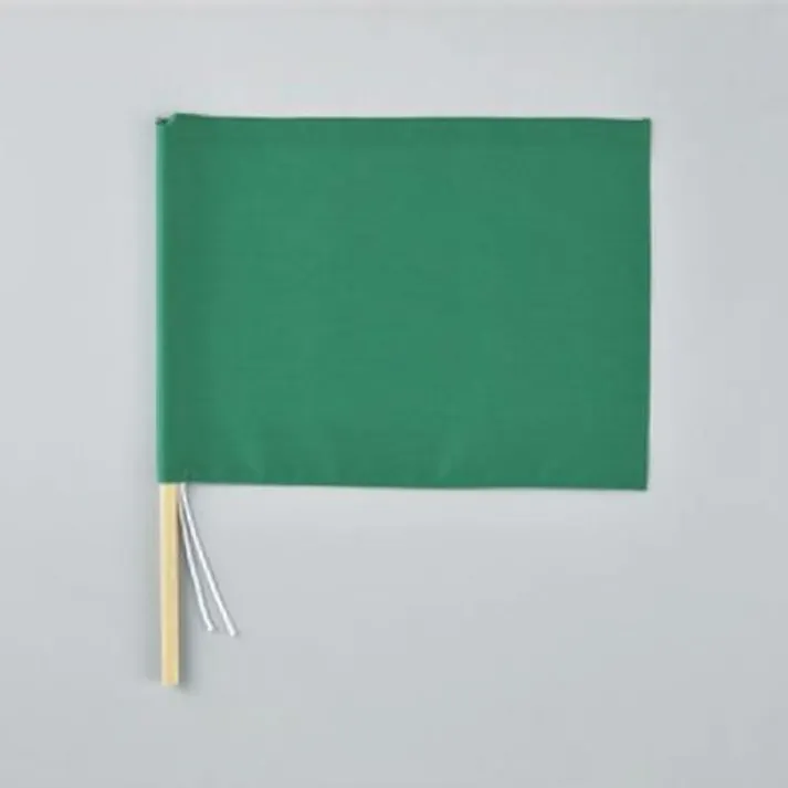 ESCO 300x420mm 手旗(緑/5本) EA916XL-1B 4550061975350(CDC)【別送品】