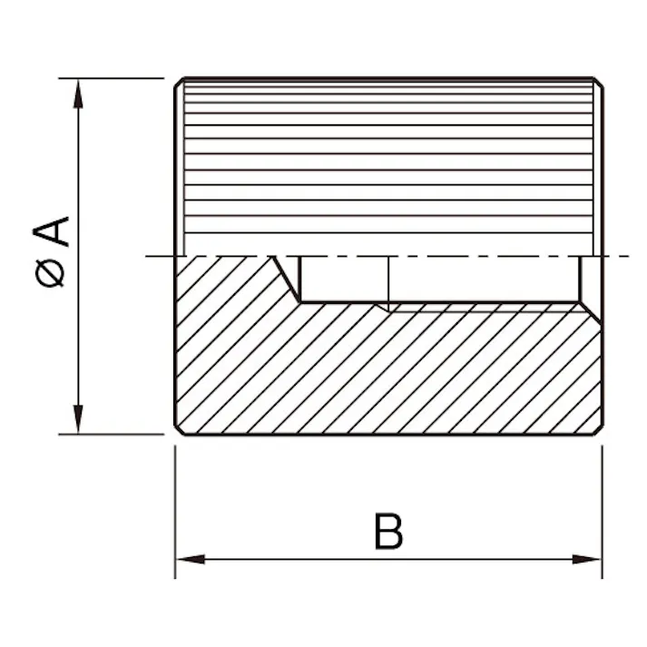 イマオコーポレーション M8/φ24mm 雌ねじノブ(ステンレス製) EA948BD-45 4518340225848(CDC)【別送品】