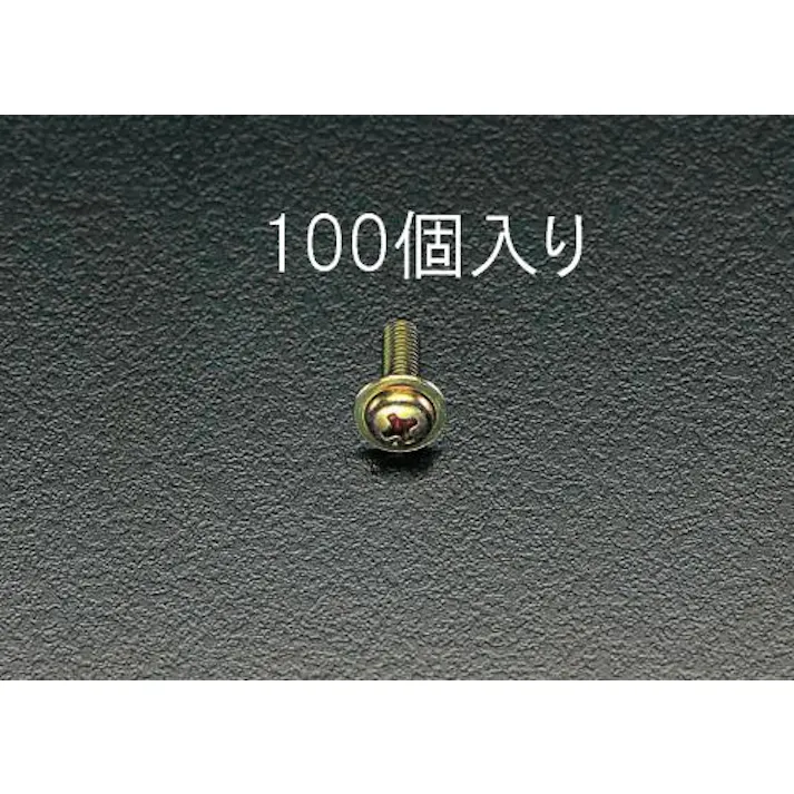 ESCO M4x 8mm 鍋頭小ねじ(ワッシャーヘッドクロメート/100本) EA949GK-41 4518340744752(CDC)【別送品】
