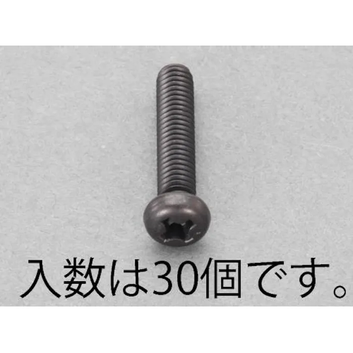 ESCO M3x 4mm ナベ頭小ねじ(ステンレス/黒色/30本) EA949TE-304 4518340977105(CDC)【別送品】