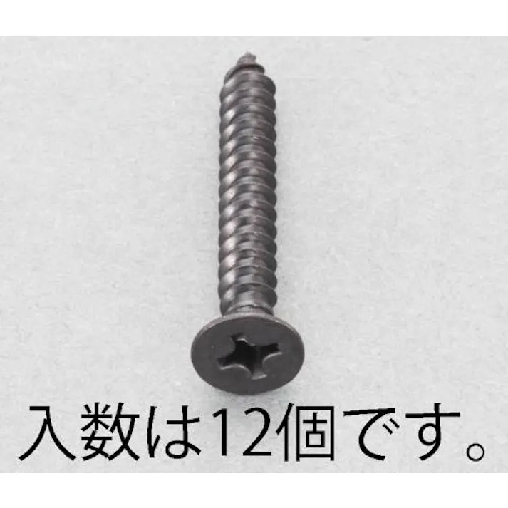 ESCO 5x50mm 皿頭タッピングビス(ステンレス/黒色/12本) EA949AS-550 4518340980860(CDC)【別送品】