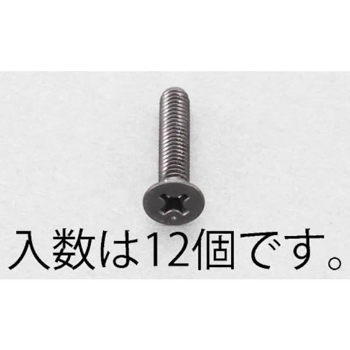ESCO M5x10mm 皿頭小ねじ(ステンレス/黒色/12本) EA949TF-510 4518340992665(CDC)【別送品】