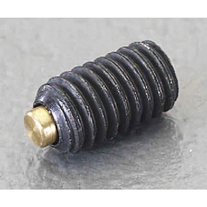 岩田製作所 六角穴付止ねじ(真鍮パッド/鉄) M6x10mm EA949DR-6 4548745433555【別送品】