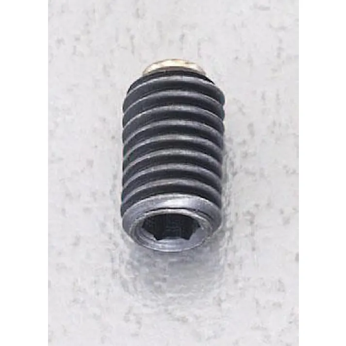 岩田製作所 M8x12mm 六角穴付止ねじ(真鍮パッド/鉄) EA949DR-8 4548745433562(CDC)【別送品】