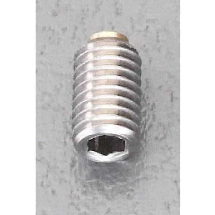 岩田製作所 六角穴付止ねじ(真鍮パッド/ステンレス) M6x10mm EA949DS-6 4548745433609【別送品】