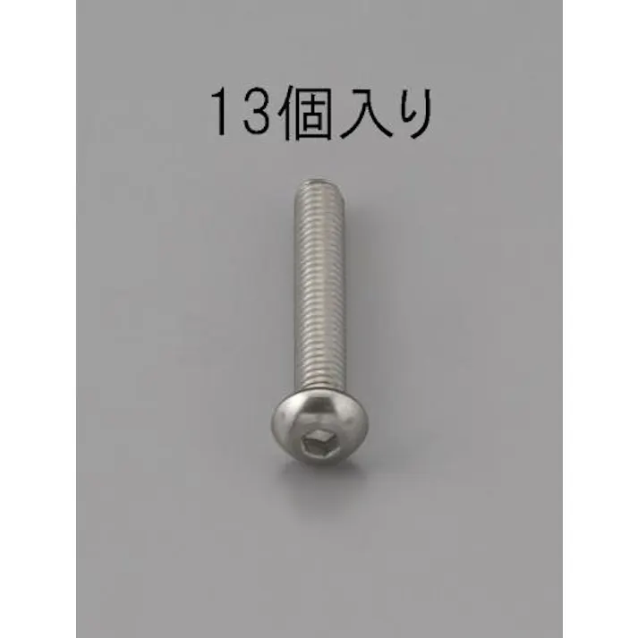 ESCO M4 x25mm 六角穴付鍋頭ボルト(ステンレス製/13本) EA949MF-425 4548745471465(CDC)【別送品】