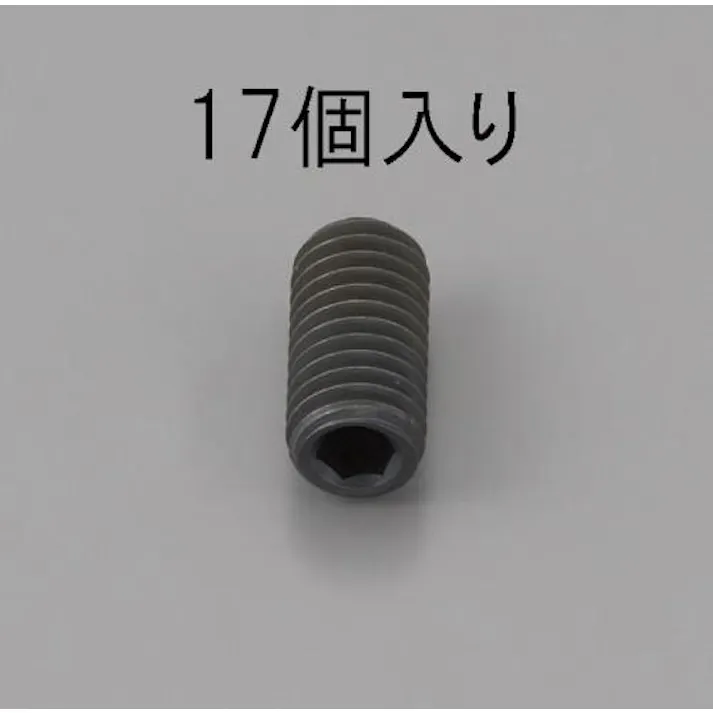 ESCO M5 x 6mm 六角穴付止ねじ(クロメート/17本) EA949MP-506 4548745474473(CDC)【別送品】