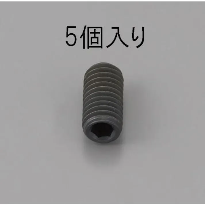 ESCO M10x25mm 六角穴付止ねじ(クロメート/5本) EA949MP-1025 4548745475890(CDC)【別送品】