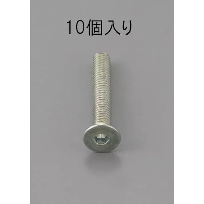 ESCO M4 x25mm 六角穴付皿頭ボルト 三価クロメート/10本 EA949MC-425 4548745476026(CDC)【別送品】