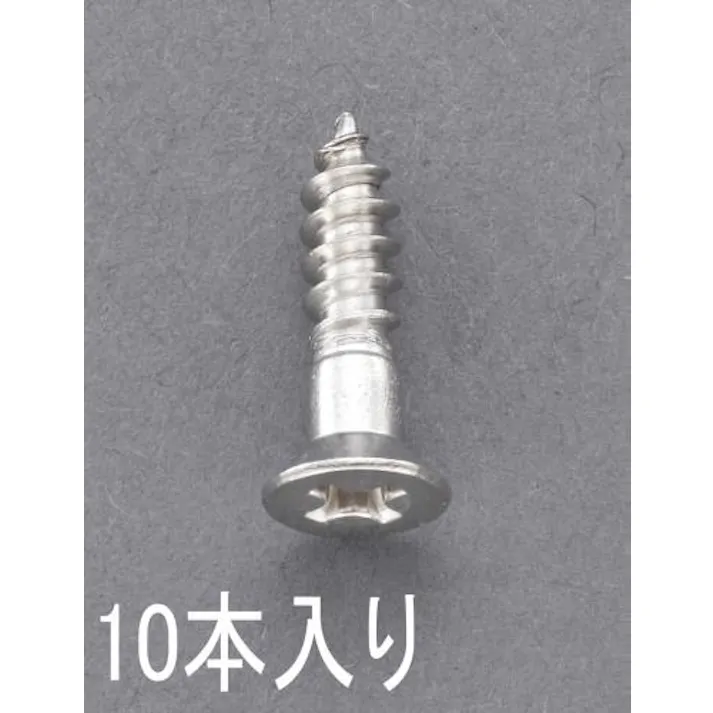 ESCO 3.1x 25mm 皿頭木ねじ(ステンレス製/10本) EA949ED-315 4548745621938(CDC)【別送品】