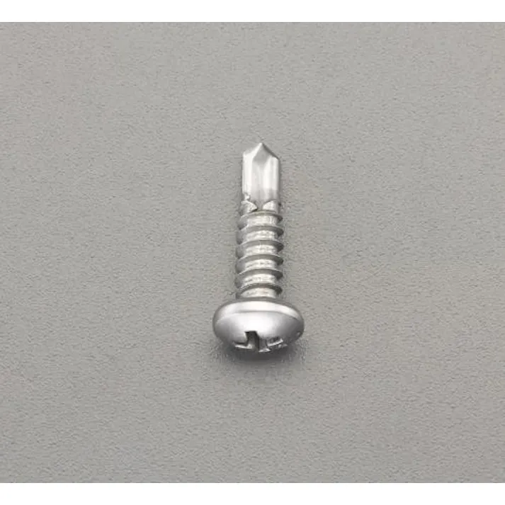 ESCO 4x25mm ピアスビス(ナベ頭/ステンレス/500本) EA949EE-344 4548745831269(CDC)【別送品】