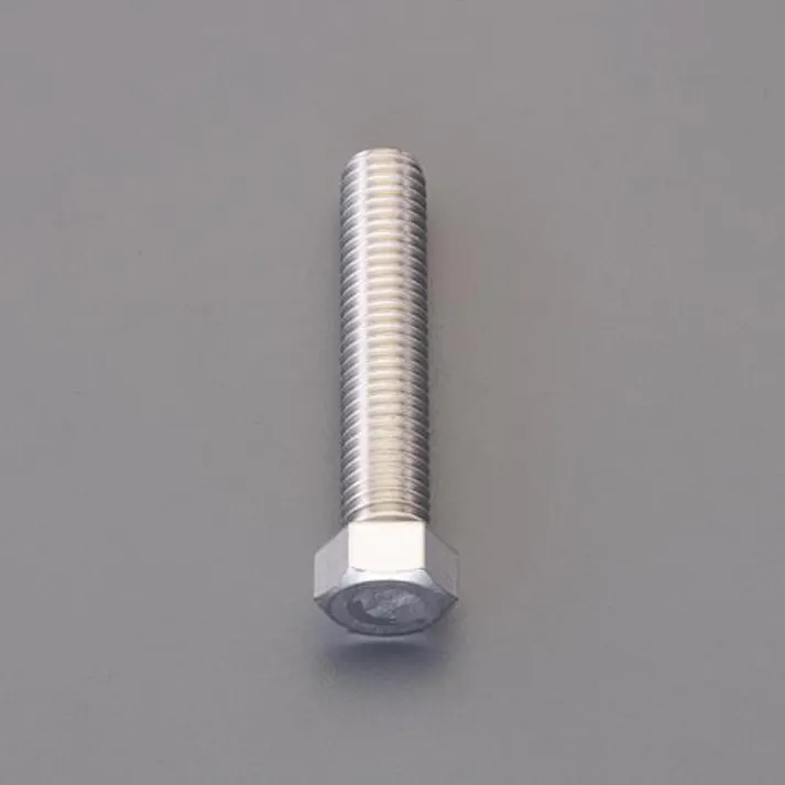 ESCO M10x 12mm 小形六角ボルト全ねじ(ステンレス/4本) EA949LP-1012 4550061010952(CDC)【別送品】