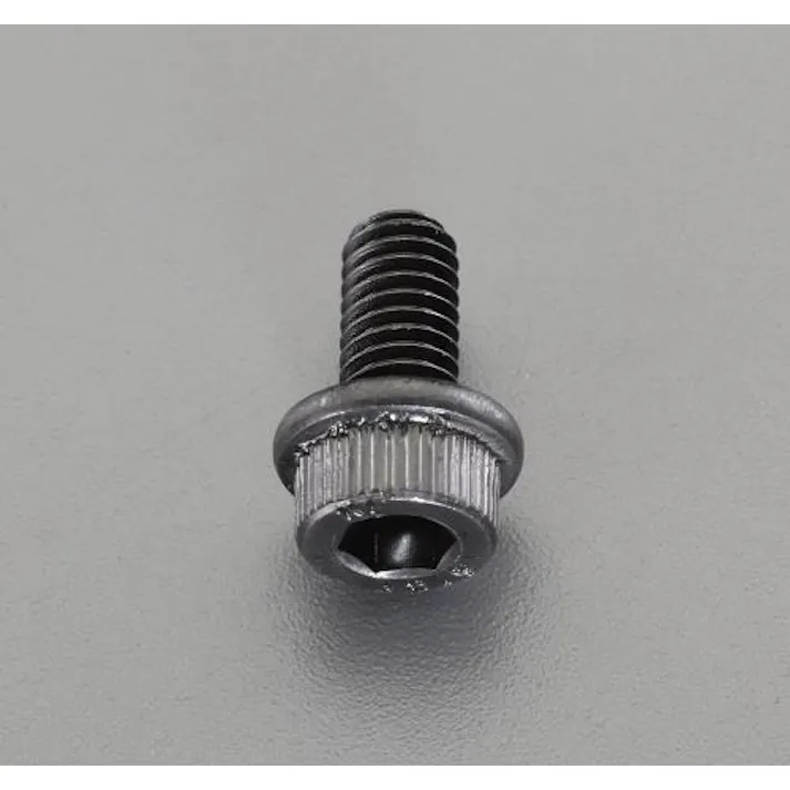 ESCO M5x10mm フランジソケットキャップボルト(鉄/16本) EA949ME-510 4550061052778(CDC)【別送品】