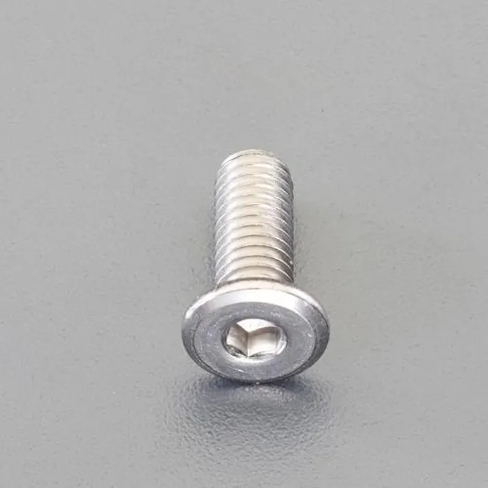 ESCO M5 x10mm 六角穴付ボルト(超低頭/ステンレス/2本) EA949MX-510 4550061566589(CDC)【別送品】
