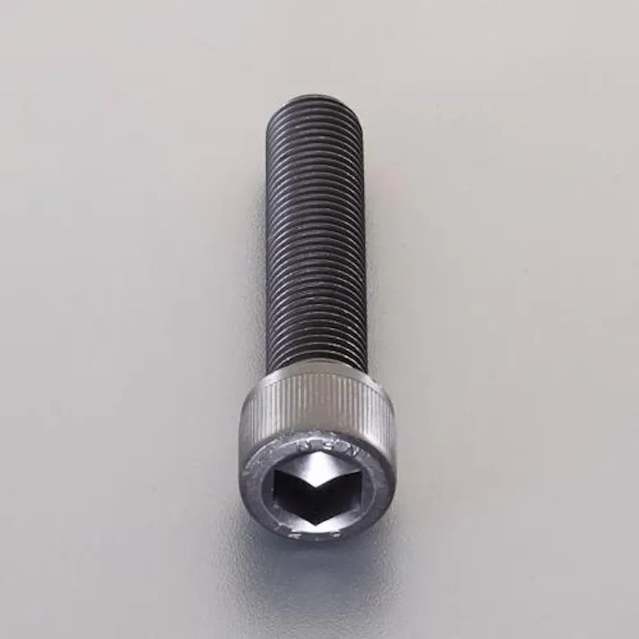 ESCO M 6x 25mm/P0.75 六角穴付ボルト(細目/2本) EA949LZ-65 4550061705896(CDC)【別送品】
