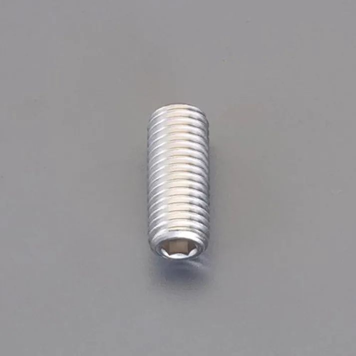 ESCO M10x 10mm 六角穴付止めねじ(平先/SUS/2本) EA949DY-101 4550061710265(CDC)【別送品】