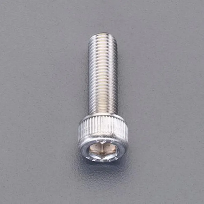 ESCO M10x 25mm/P1.25 六角穴付ボルト(SUS/細目/6 EA949MZ-102 4550061714423(CDC)【別送品】
