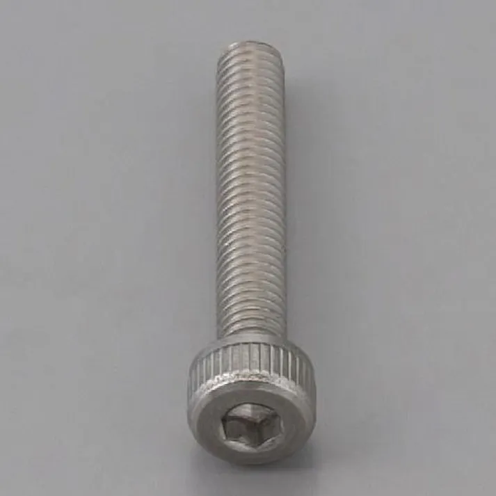 ESCO M5 x 20mm 六角穴付ボルト(ステンレス製/2本) EA949MB-520F 4550061789681(CDC)【別送品】