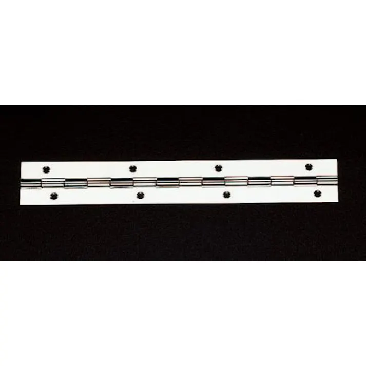 ESCO 180x30mm 長丁番(ステンレス製) EA951CR-180 4518340358812(CDC)【別送品】