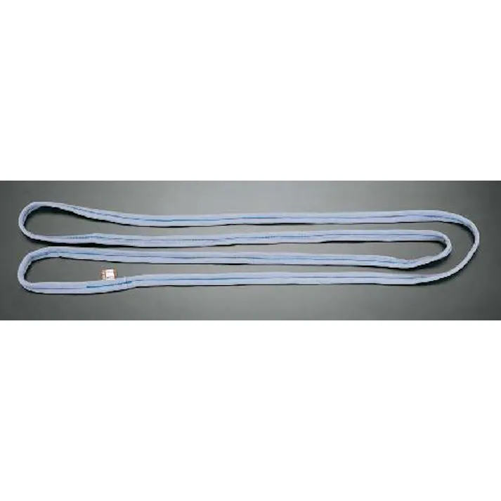 ESCO 25mmx5.0m/0.5ton ベルトスリング(エンドレス) EA981DF-5 4518340647435(CDC)【別送品】