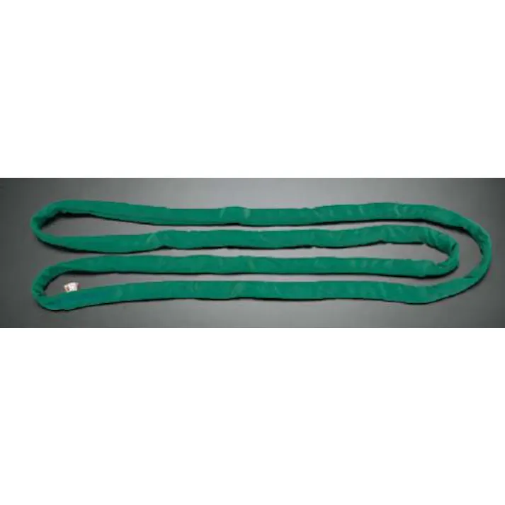 東レインターナショナル(TORAY) ベルトスリング(エンドレス) 43mmx4.0m/2.0ton EA981DJ-4 4518340647695【別送品】