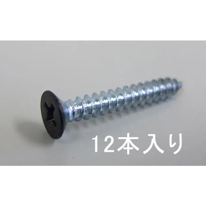 ESCO 3 x20mm アングル用ビス(スチール黒/12本) EA951EE-311 4518340925960(CDC)【別送品】