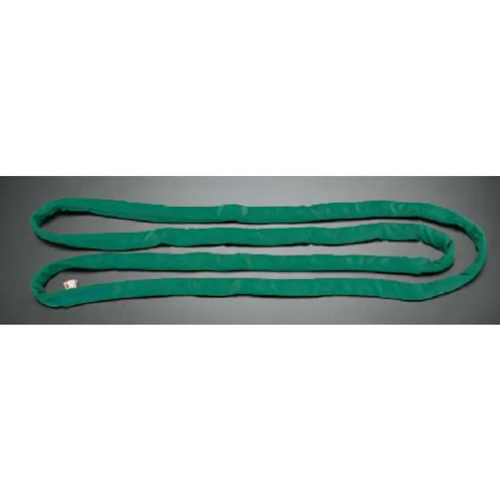 ESCO 38mmx 10m/2.0ton ベルトスリング(エンドレス) EA981DJ-10 4518340928053(CDC)【別送品】