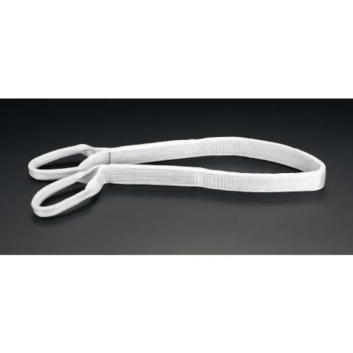 東レインターナショナル(TORAY) ベルトスリング(ケミカル) 50mmx6.0m/1.0ton EA981CR-6 4548745519440【別送品】