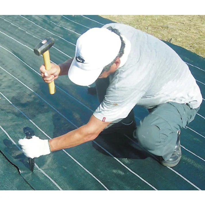 ESCO 250mm シート押さえ杭(10本) EA952AD-520 4550061387085(CDC)【別送品】