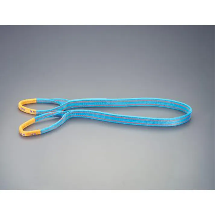 ESCO 100mmx2.0m/4.0ton ベルトスリング(ポリエステル) EA981TL-2 4550061668955(CDC)【別送品】